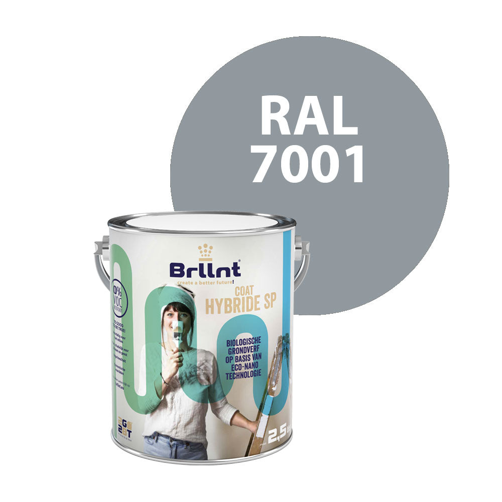 Wood primer RAL 7001 Silver grey