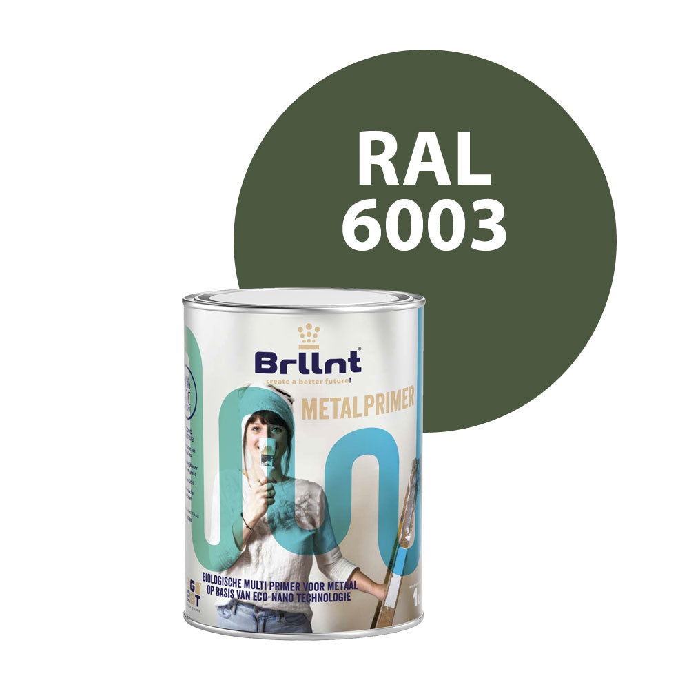 Metaal primer RAL 6003