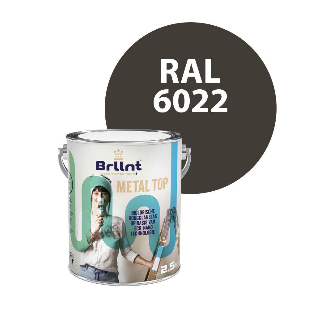 Metaalverf RAL 6022 Bruin olijfgroen Halfglans