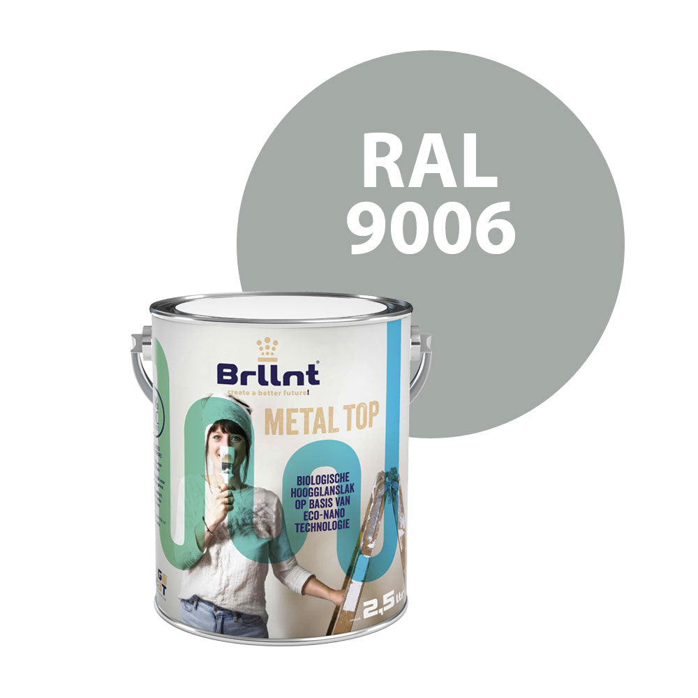 Metal paint RAL 9006 White aluminium